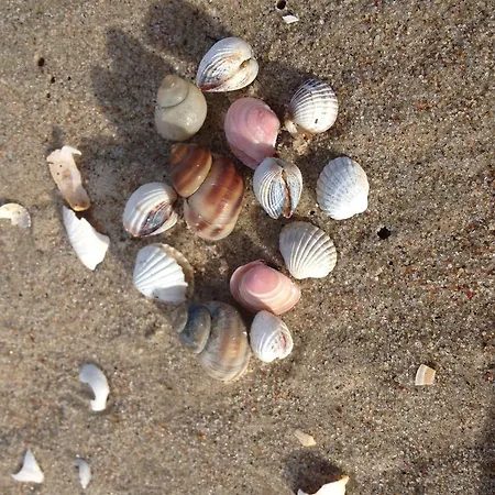 Apartment Morska Dwupokojowe