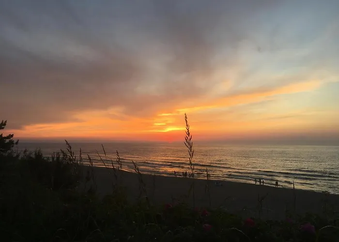 Morska Dwupokojowe * Sztutowo