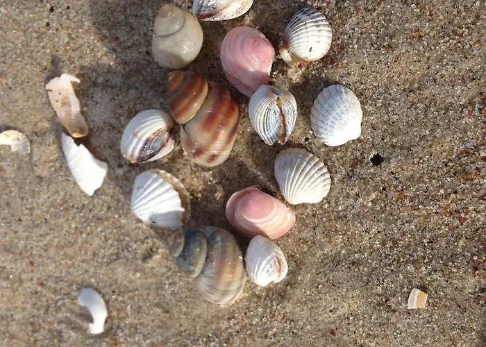 Lägenhet Morska Dwupokojowe